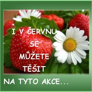 ČERVNOVÉ AKCE ČERVNOVÉ AKCE