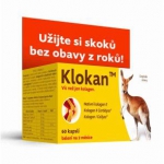 prev_1443739787_klokan.jpg